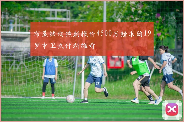 布莱顿向热刺报价4500万镑求购19岁中卫武什科维奇